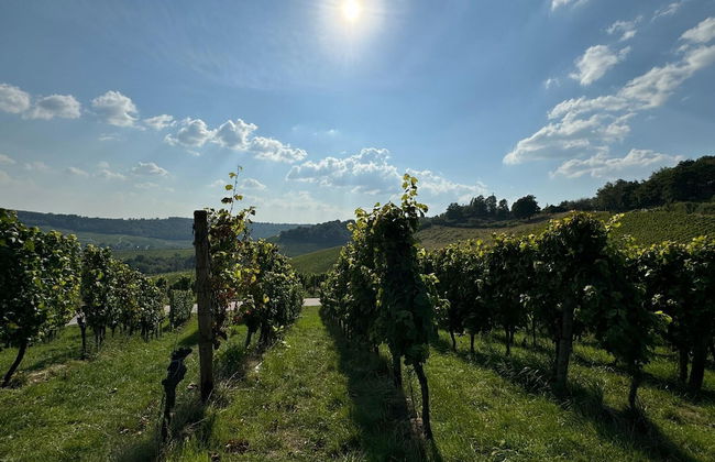 Holiday Home for Groups in Kinheim - Foto 38