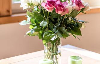 Gigantisch!Hochwertige Ferienwohnung in den Bergen - Foto 19