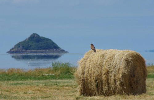 Superbe Maison en baie du Mont St Michel - Foto 44