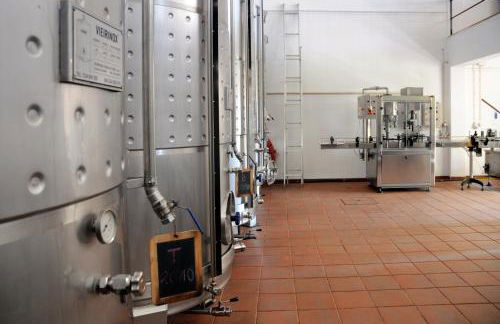 Quinta Das Escomoeiras - Foto 51