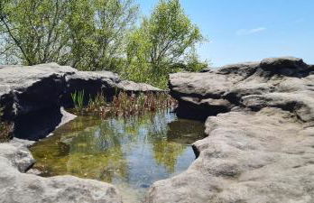 Landhaus Porschdorf - Foto 32