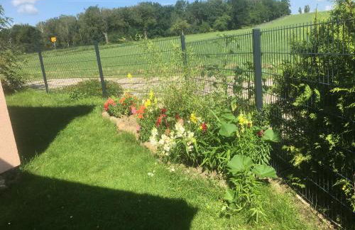 Ferien am Hofe - Foto 6