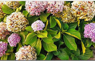 Casa Tío Pedro Martín - Foto 21