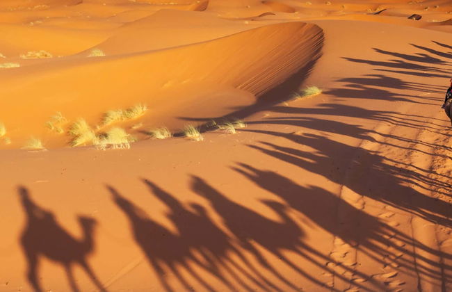 Excursión privada de 3 días al desierto de Merzouga - Foto 7