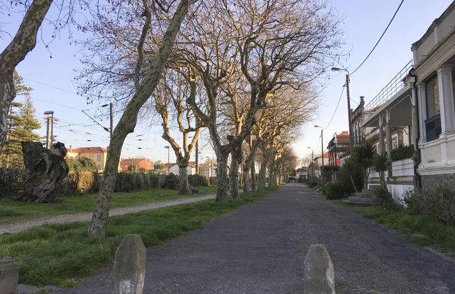 Lvpremier GR1 Beachfront Heated Pool spa Games - Photo 18