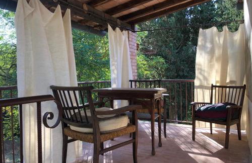 Il Bosco del Lebbio - Foto 3