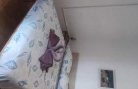 Villa Franić - Photo 23