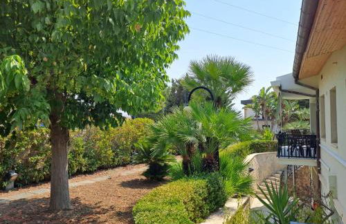 Il Gelsomino - Foto 19