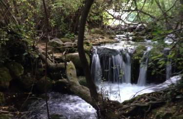 Casa La Rosa P.N. Sierra de Grazalema - Foto 22