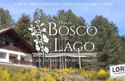 Tra il bosco e il lago - Foto 33