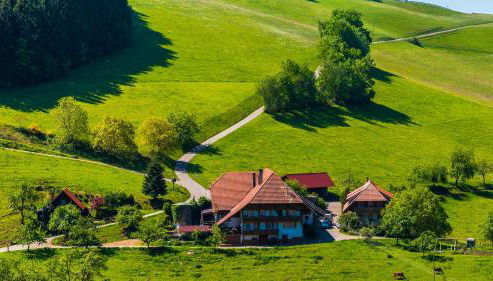 Prinzbachhof - Foto 2