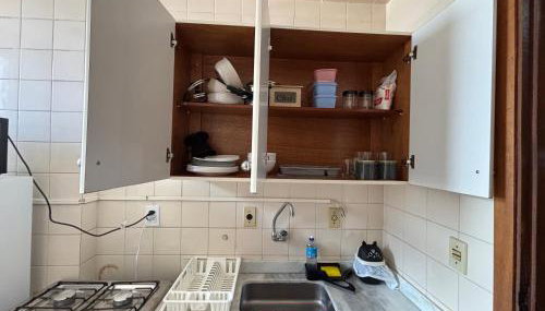 Apes Raizes Douradas - Foto 5