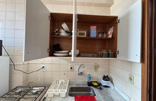 Apes Raizes Douradas - Foto 5