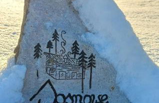 sosnowelowe - Foto 28