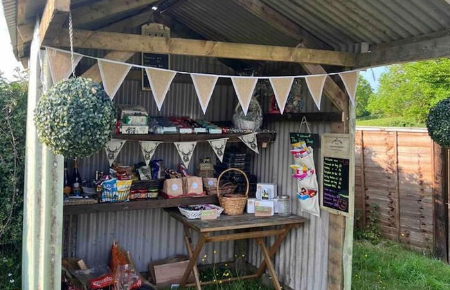 Cute and Cosy Shepard hut With Wood Fuel hot tub - Foto 43