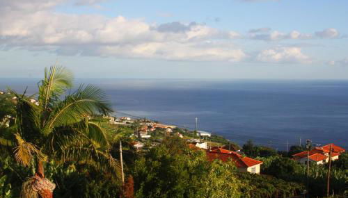 Lugar dos Louros 1 - Foto 3