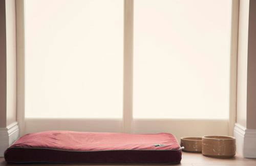 Llaethdy - The Dairy - Foto 15