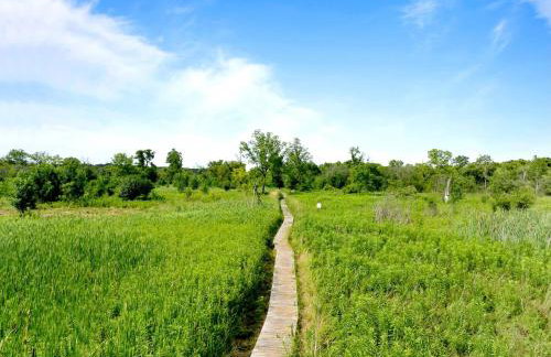 Williams Bay Family Getaway Beach Kayaks and Lake Geneva Adventures - Foto 28