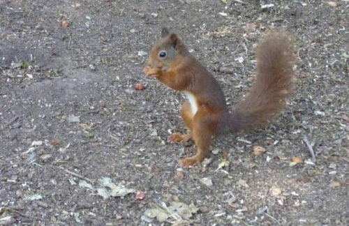 Min yr Afon - Cabin - Sleeps 2 - Hot Tub - Parking - Foto 27