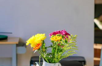 Tranquil and cosy cottage on the Somerset Levels - Photo 15