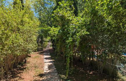 Casas Rurales Los Cortijos - Foto 43