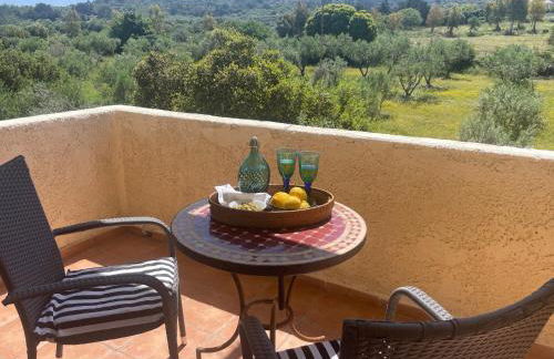 Carpe Diem - Photo 40