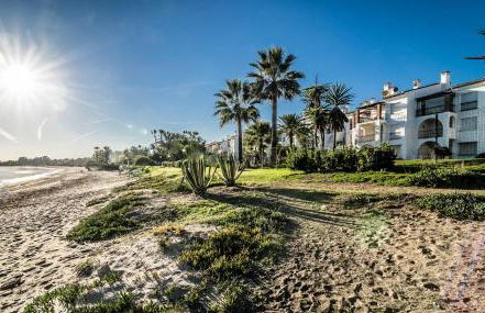 Hacienda beach - Photo 48