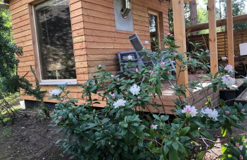 Holiday Home Reetdach Ferienhaus am Lübbesee Sauna Bootsteg neu by Interhome - Photo 8