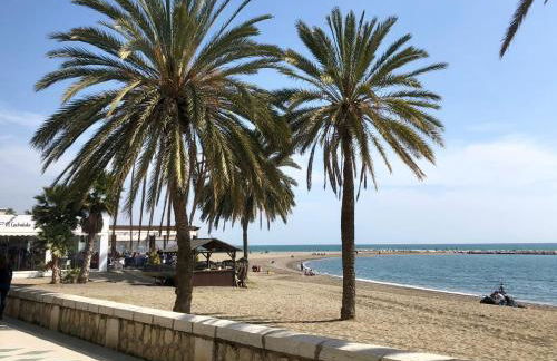 Ohana Beachfront Malagueta - Photo 15