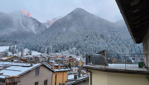 GREEN DOLOMYTE Apartment - Foto 5