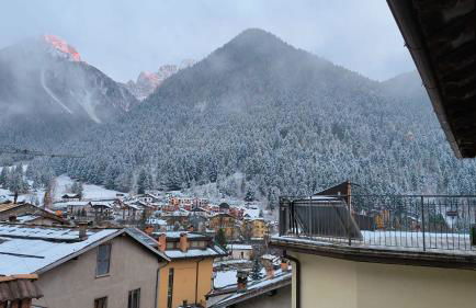 GREEN DOLOMYTE Apartment - Foto 5