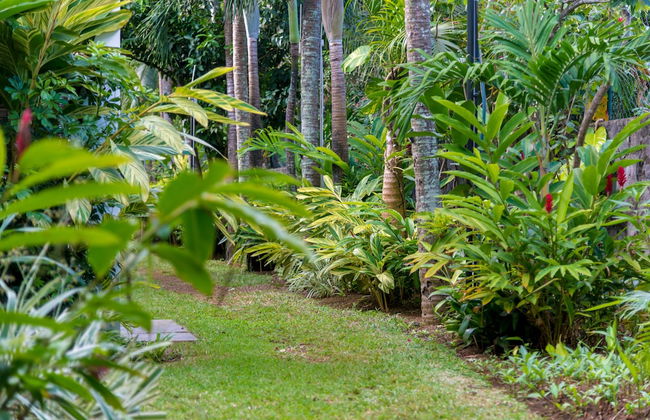 Mon Choisy Beach R. - Photo 32