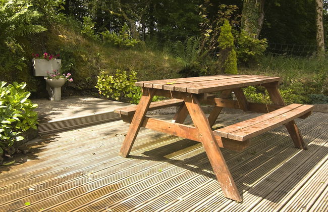 Parc-yr-Hebog - Photo 22