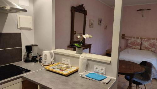 Chaleureux studio avec jardin commun et parking, idéal pour un couple face à l'Abbaye de Pontlevoy - FR-1-491-363 - Photo 3