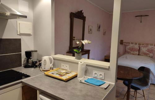 Chaleureux studio avec jardin commun et parking, idéal pour un couple face à l'Abbaye de Pontlevoy - FR-1-491-363 - Photo 3