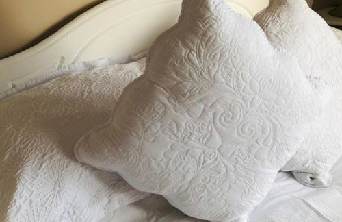 Luxury Guest Suite Dog Friendly - Foto 9