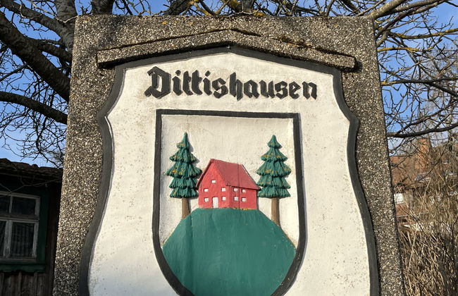 Vergissmeinnicht - Foto 54