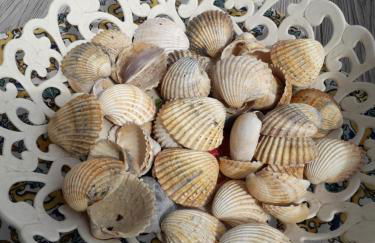 La Casa del Sole - Photo 71