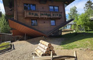 Bergzauber Bayerwald - voll ausgestattetes Familienapartment mit Pool - Foto 22