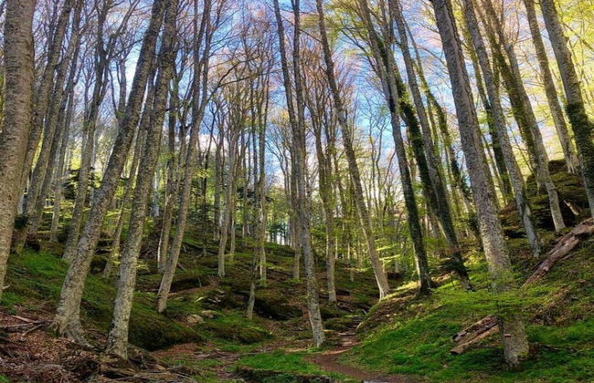 Welcoming Mobile Home in Toscana With Garden - Photo 26