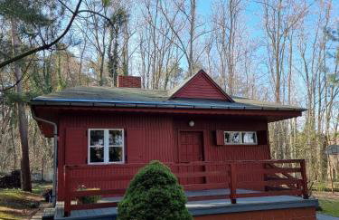 Boszkowski Azyl - Foto 1