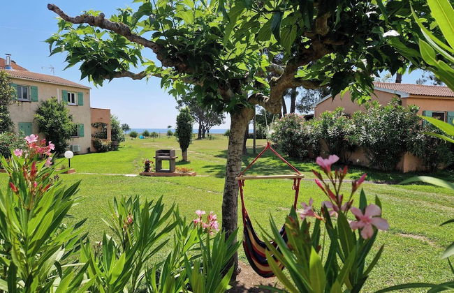 Pinea Mare - Foto 71