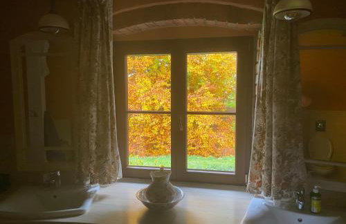 Krzywiec - Pasieka na Szlaku Kopernika - Foto 6