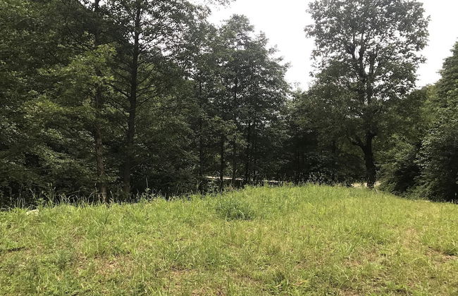 Baraka bungalov - Foto 27