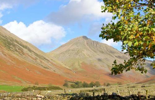 Raceside Farm - Foto 12