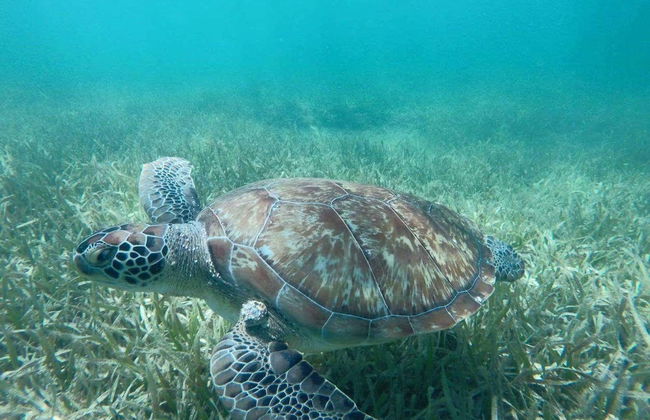 Tour in Lázaro Cárdenas - Photo 4