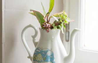 L'appartement à Cardaillac - Foto 18