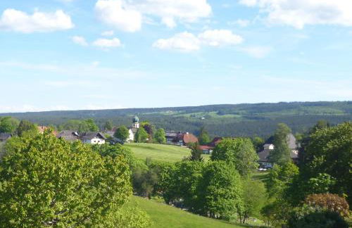 Ferienwohnung Schwarzwald-Alpenblick - Foto 21