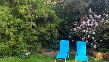 Ferienhaus Lotte - Foto 2, Garden, sunbed