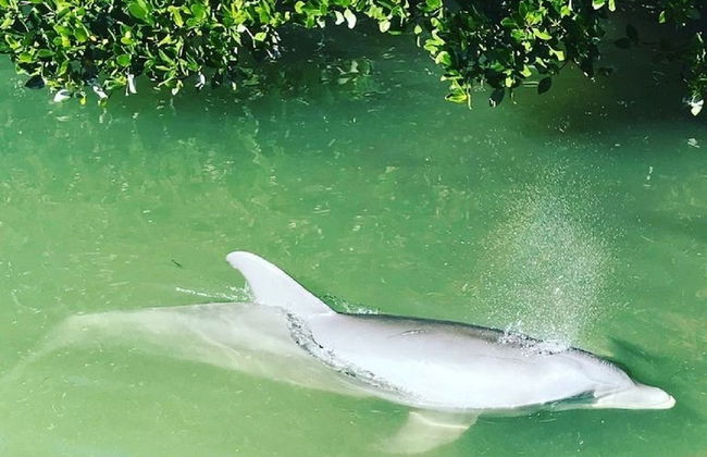 The Little Oasis Beach House - Photo 23